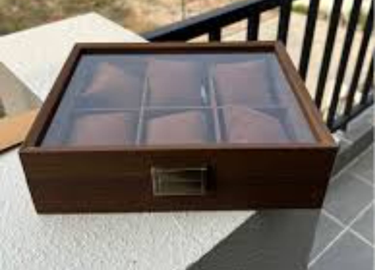 WOODY WATCH BOX PLN - B6