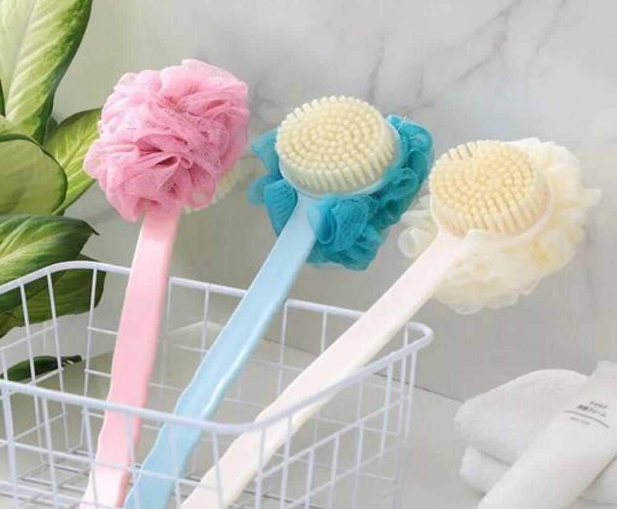 BODY BRUSH AND LOOFAH