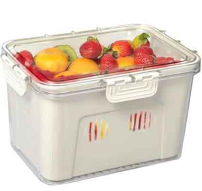 FRIDGE BOX +1